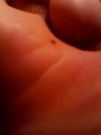 081115_1403~001.jpg