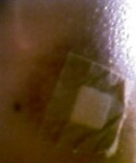 May11_1607.jpg